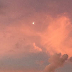 Meet your Posher, Kendall